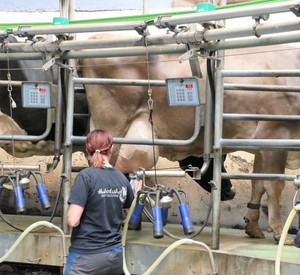 Landwirtin Laura Duchscherer im Melkstand mit Kühen