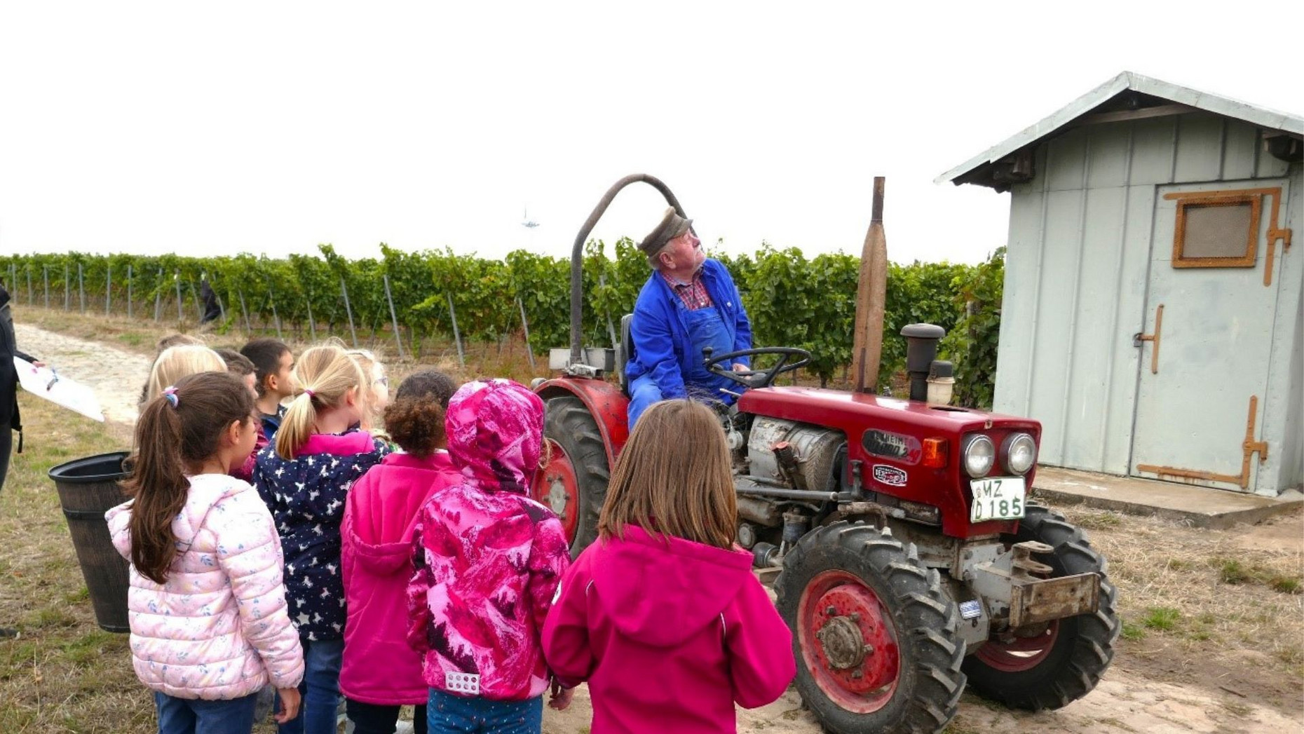 Senior Huxel erklärt Kindern die Winzerarbeit.