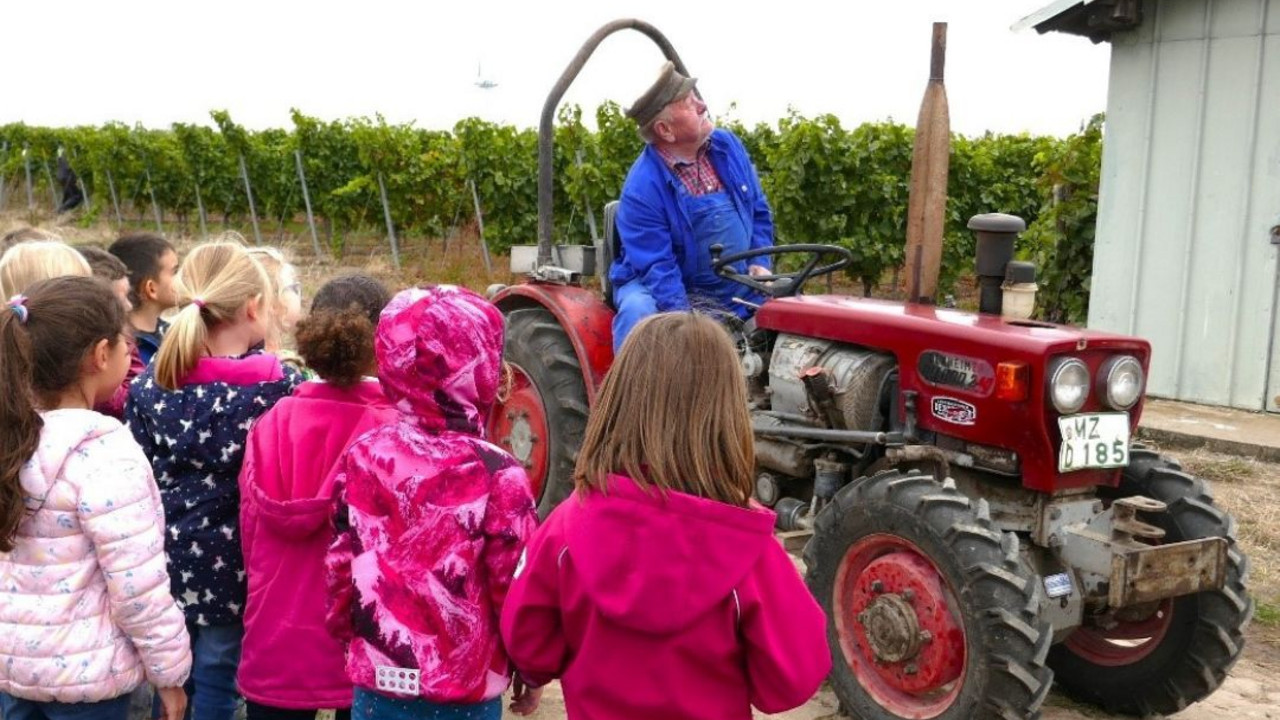 Senior Huxel erklärt Kindern die Winzerarbeit.