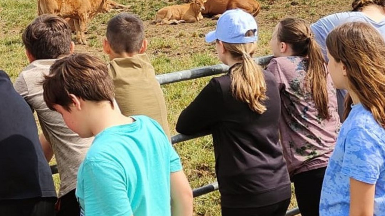 Kinder beobachten Mutterkühe auf der Weide