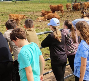 Kinder beobachten Mutterkühe auf der Weide