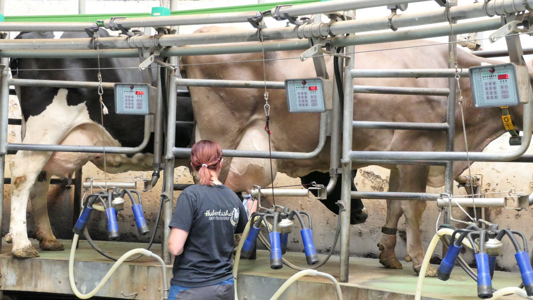 Landwirtin Laura Duchscherer am Melkkarusell